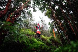 BIB: 
                            <button type="button" onclick="openModal(26203193)" class="btn btn-primary btn-sm float-right btn-popup" data-toggle="modal" data-target=".modal-high-quality">
                        <i class="fas fa-shopping-cart"></i> Add to Cart
                    </button>
                                            <button type="button" onclick="isThisMe(26203193, true)" class="btn btn-success btn-sm float-right btn-popup btn-isme hidden" data-toggle="tooltip" data-placement="bottom" title="นี่คือรูปของคุณใช่ไหม คลิกที่นี่เพื่อเอาเข้าอัลบั้ม">
                        <i class="fas fa-plus"></i> Add to album
                    </button>
                    <button type="button" onclick="isThisMe(26203193, false)" class="btn btn-warning btn-sm float-right btn-popup btn-isnotme hidden">
                        <i class="fas fa-ban"></i> Remove from album
                    </button>